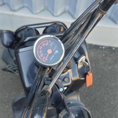 ホンダズーマーの画像