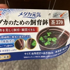 メダカ飼育鉢の画像
