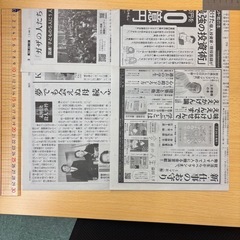 【お試し！】鳥かごシーツ20枚（新聞紙リユース）の画像