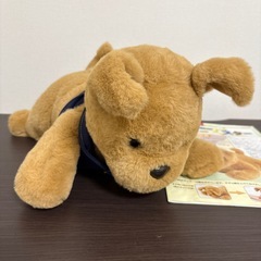 ダッキーアンドスターの画像