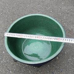 🈹メダカ・金魚 睡蓮鉢の画像