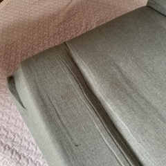 ニトリの座椅子とドーナツクッションの画像