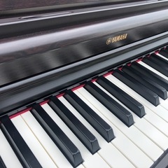 ヤマハ YDP-165R 現行アリウス    の画像