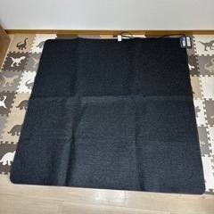 【ホットカーペット】YAMAZEN ホットカーペット SUS-202の画像
