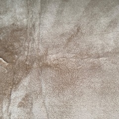厚手カーペット　ベージュの画像