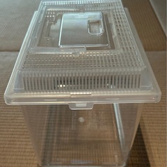 新品　虫カゴ　の画像