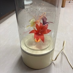 回転ファイバーライトの画像