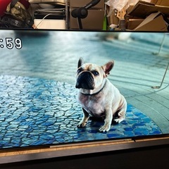 東芝 TOSHIBA 55X920 REGZA 有機EL 55インチ 大スクリーンの画像