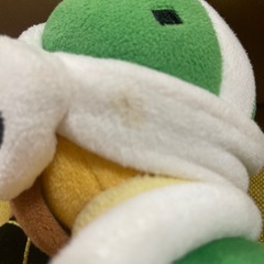 ヨッシーとハンマーブロス
の画像