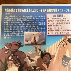 DVD スピリットの画像