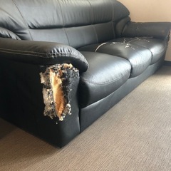 ソファーの画像