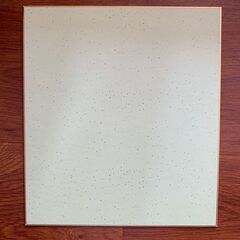 手塚治虫 お茶の水博士 鉄腕アトム 直筆サイン入り色紙の画像