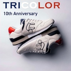 ⭐️幻の一足⭐️『希少限定品』トリコロール10周年記念モデルの画像