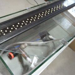 綺麗で大きな水槽とLEDライト付きの画像