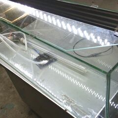 綺麗で大きな水槽とLEDライト付きの画像