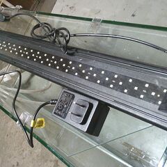 綺麗で大きな水槽とLEDライト付きの画像