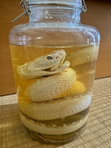 未開栓】Monnet Cognac Josephine モネ コニャック リサイクルショップ