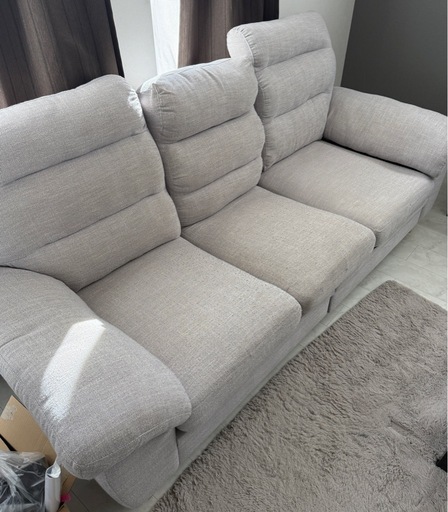 (決まりました)(早い者勝ち)ソファ