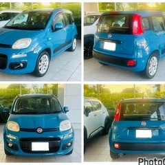 イタリア FIAT パンダ 個人出品 低走行 兵庫県の画像