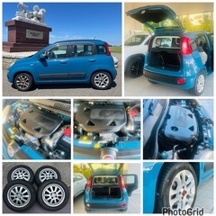 イタリア FIAT パンダ 個人出品 低走行 兵庫県の画像