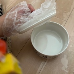 スヌーピー　お皿　保存容器の画像
