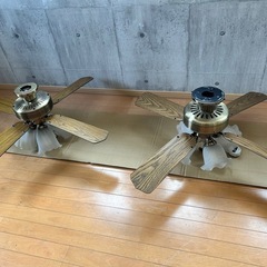 シーリングファン照明器具の画像
