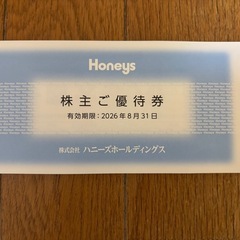 ハニーズ　株主優待　７０００円分（500円券×１４枚）②の画像
