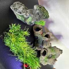 水槽装飾品の画像