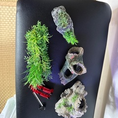水槽装飾品の画像