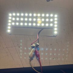 LEDルームランプセットリモコン付き【とにかく明るいです】の画像