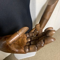 腕付き男性トルソーの画像