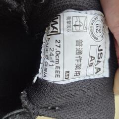 ミドリ　安全靴　PROTECTOES5の画像