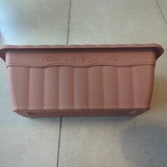 （新品）プランター類＋トウモロコシの種の画像