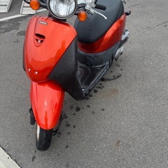 大人気‼️ホンダトゥデイAF67の画像