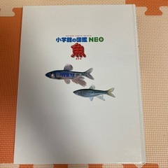 小学館の図鑑ＮＥＯ魚の画像