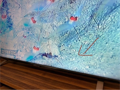 《ジャンク品》東芝REGZA 50インチ液晶テレビ 50C 350X