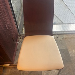 店舗用椅子大量の画像