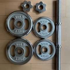 WILD FIT クロームダンベルセット10kgの画像