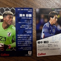サッカーチップス⚽️カード二枚の画像