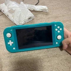 Switchライトの画像