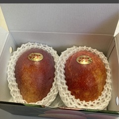 贈答用マンゴー2玉850g 【8/13まで】の画像