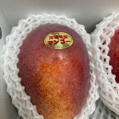 贈答用マンゴー2玉850g 【8/13まで】の画像