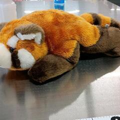 0812-276 レッサーパンダの画像