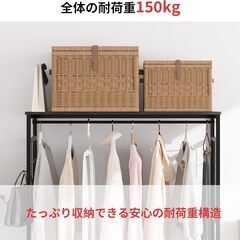 【新品未開封】LunarLight ハンガーラック 幅100奥行30高さ151.2cm パイプハンガー ワードローブ クローゼット引き出し 洋服掛け 衣類コンパクトで収納 多機能 収納チェスト 収納ケース 大容量 頑丈 スリム おしゃれ ストッパーキャスター付き（移動式と固定式2機能） 全体耐荷重150kg 組立簡単 耐震転倒防止 大容量引き出し2段5杯 (ブラック)の画像