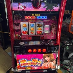 パチスロ実機　S南国そだ