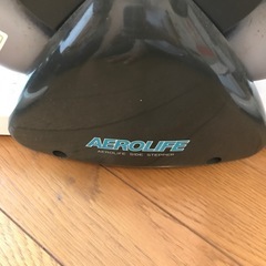 お話し中です　エアロライフ　サイドステッパー の画像