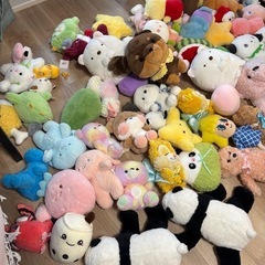 めいぐるみの画像