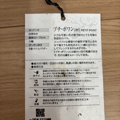 プチポワン　バラの画像
