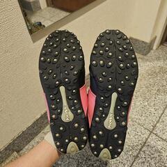 FL ゴルフシューズの画像
