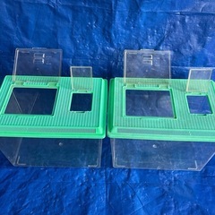 特大 虫かご　水槽　プラスチックケース　2個セット の画像